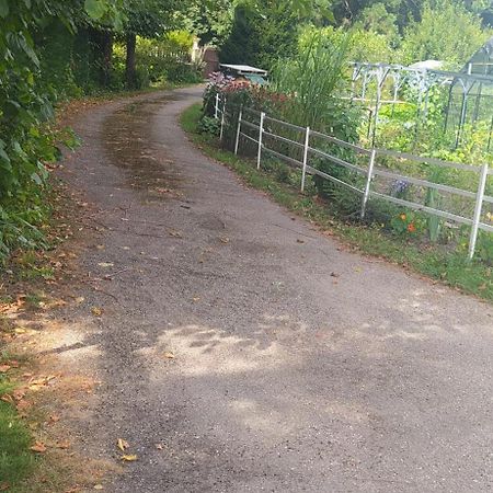 Logement Independant Attenant A Une Maison Dans Grand Jardin Retournac Kültér fotó